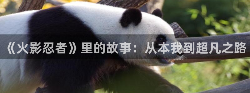 耽漫网：《火影忍者》里的故事：从本我到超凡之路