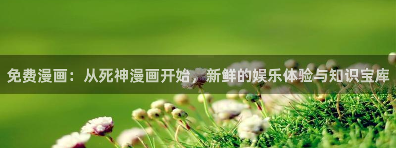 耽漫网之家最新章节更新：免费漫画：从死神漫画开始，新鲜的娱乐体验与知识宝库